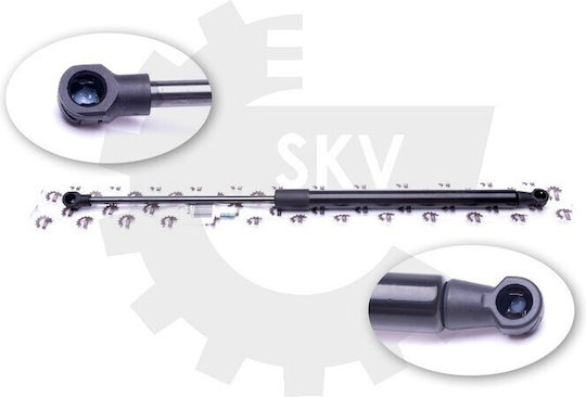 Peugeot Kofferraum-Schock Für Hintere Tür 308 I 8731Q6 8731.Q6
