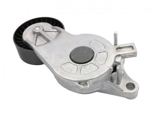 Mikrotalantotis Curea Citroen Berlingo 08 1.6 Hdi 16 114 261 80