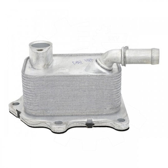 Radiator Cu Ulei Fiat 500x Magazin Online Jeep Renegade Busolă 55282257