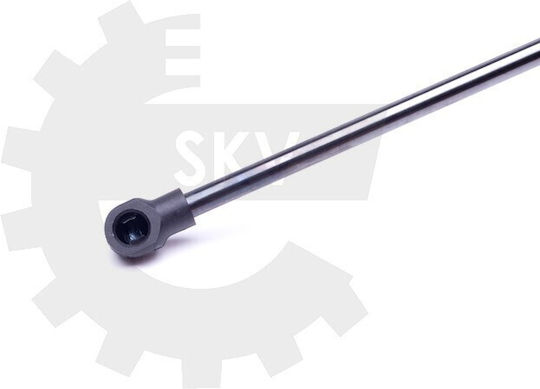 SKV Kofferraum-Schock Für Renault Clio III