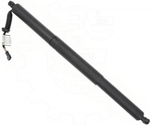 Amortizoare Ușă Spate BMW X1 Dreapta 51249482962