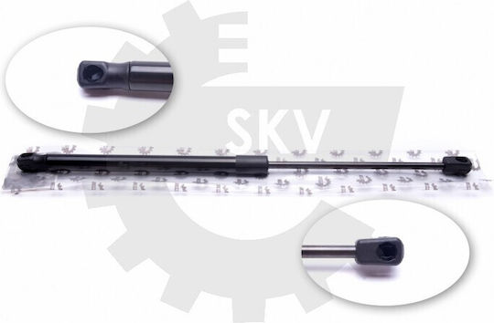 Hebezylinder Für Kofferraum Peugeot 206 Cc 8731f2