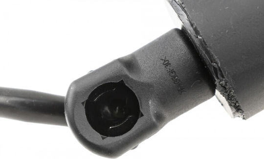 Kofferraum-Schock Kia Carnival 20 Rechts 81841R0100