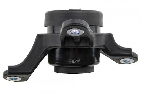Motorhalterung Honda Accord 08-12 Acura Tsx 09 Automatik Hydraulisch