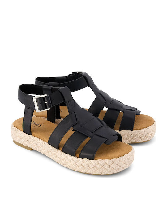 Toms