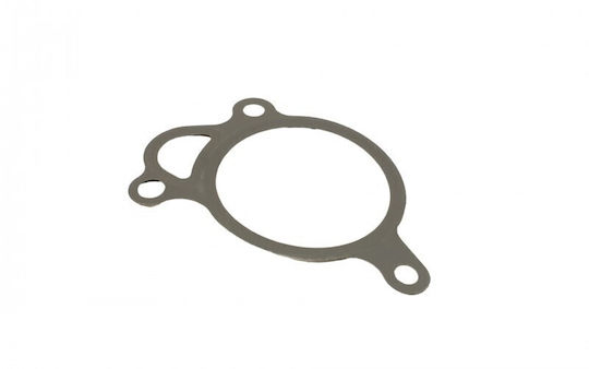 Egr Ventil Dichtung Mercedes Sprinter 06 906 906 513 Cdi 6461420019