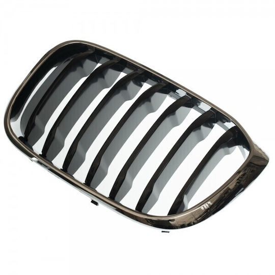 BMW X3 G01 2017 2020 Left Radiator Mask