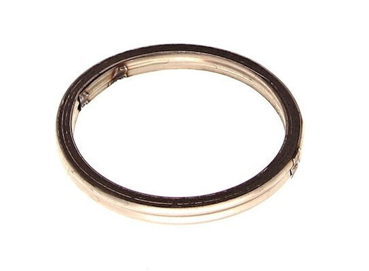 fischer Auto-Dichtung Volvo C30 2.0d 10 31251538