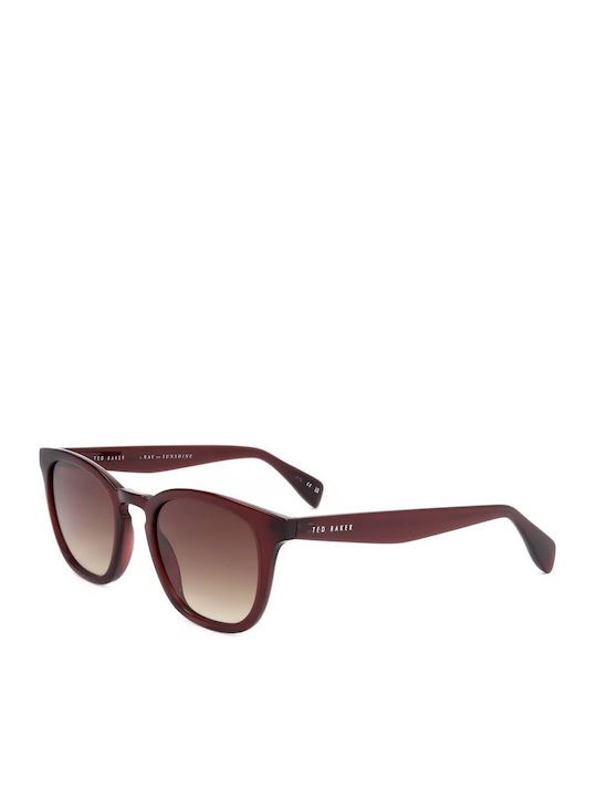 Ted Baker Feminini Ochelari de soare cu Burgundy Cadru și Burgundy Degrade Lentilă