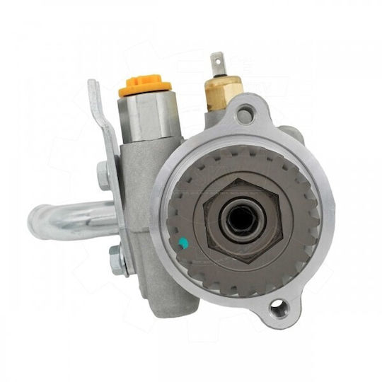 Mitsubishi Pajero IV Assistance Pump