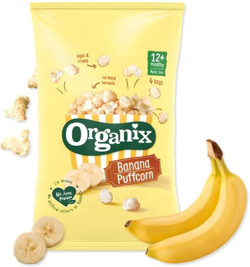 Organix 10gr 4τμχ