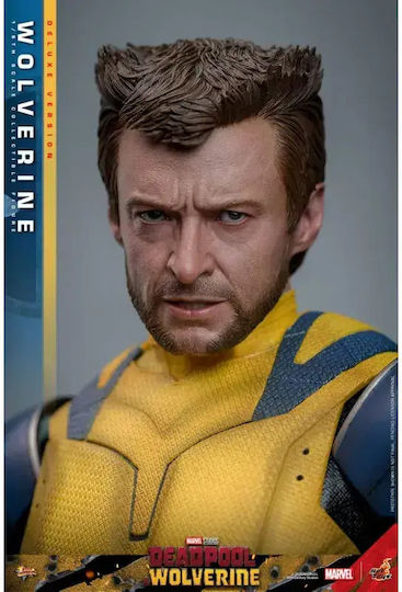Hot Toys Marvel Deadpool Hot Toys Masterpiece Wolverine Action Figure Height 31cm in Scale 1:6