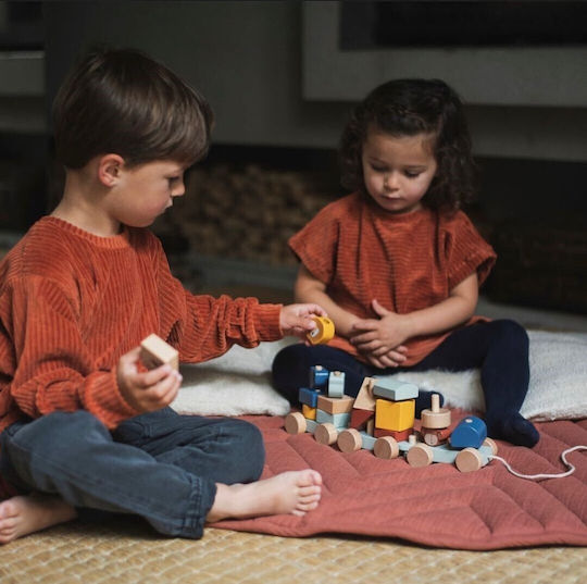 Trixie Pull-Along Toy Animal Train made of Wood for 18++ Months