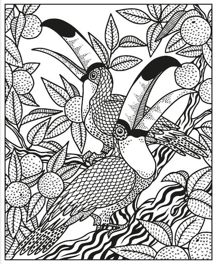 Anti-Stress Colouring Book Wild Animals Magic Painting Book