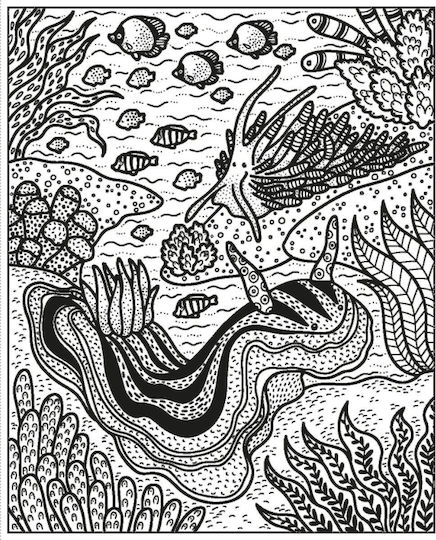 Colouring Book Coral Reef Magic Painting Book