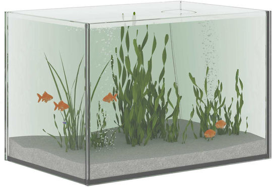 vidaXL Fisch-Aquarium mit 30x20x20cm Weiß