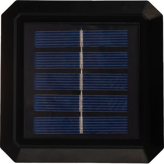 Green Blue Соларна Лампа 8lm с Топла Бяла Светлина 10x10см