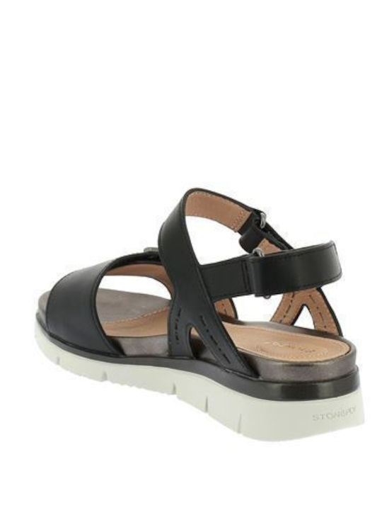 Platforme Dama Negre