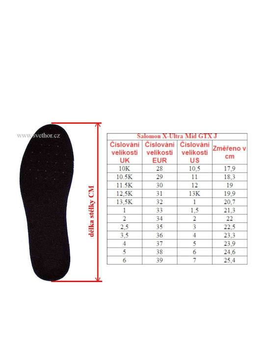 Salomon X Ultra Γυναικεία Ορειβατικά Μποτάκια Αδιάβροχα με Μεμβράνη Gore-Tex Μπλε
