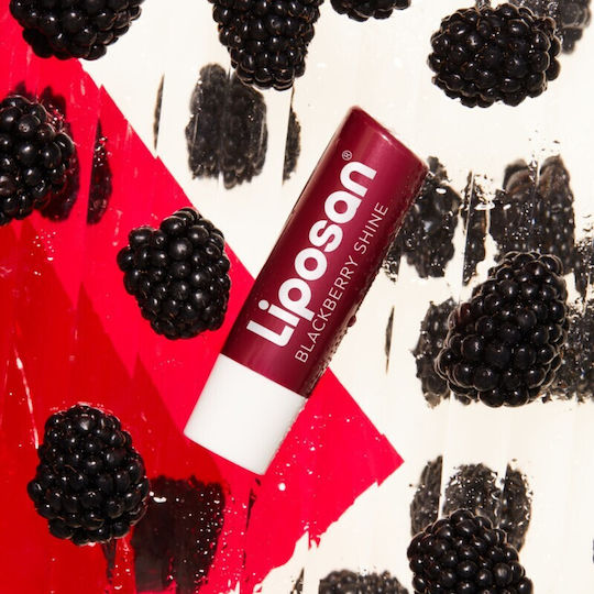 Liposan Fruity Shine Lip Balm Blackberry Shine 4.8gr
