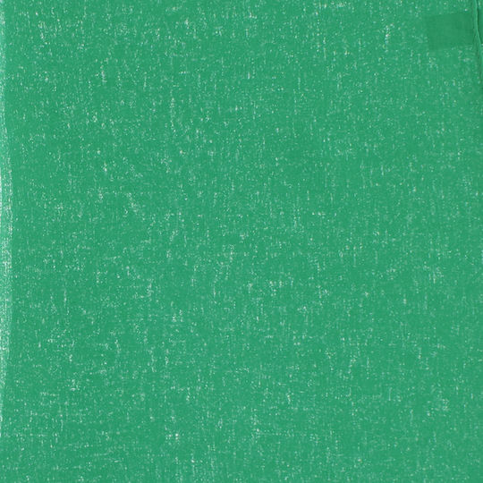 Women's Scarf Solid Buticcochet 80% Polyester 20% Viscose Green Es3362