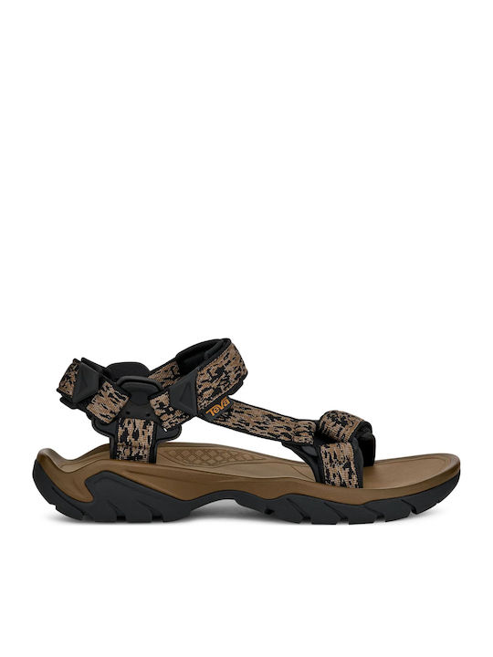 Teva