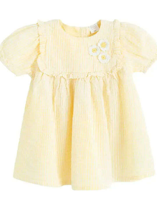 Cool Club