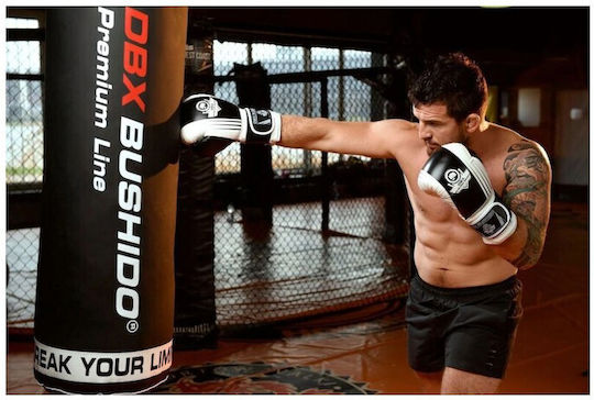 DBX Bushido Mănuși de box pentru competiție colorate