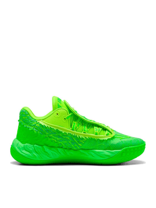 PUMA