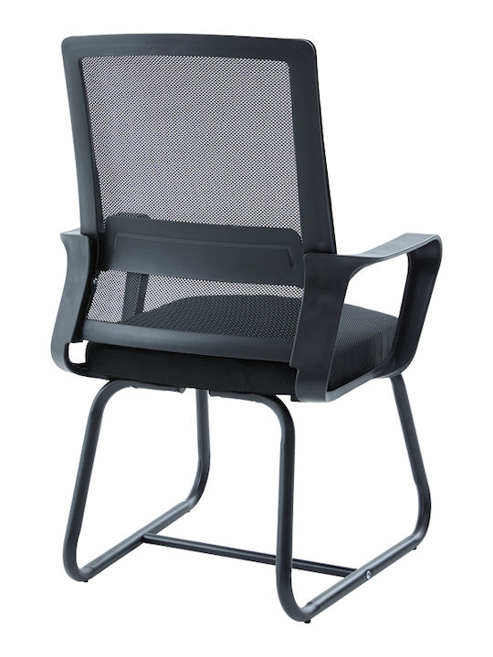 Palma Palma