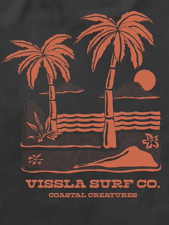 Vissla
