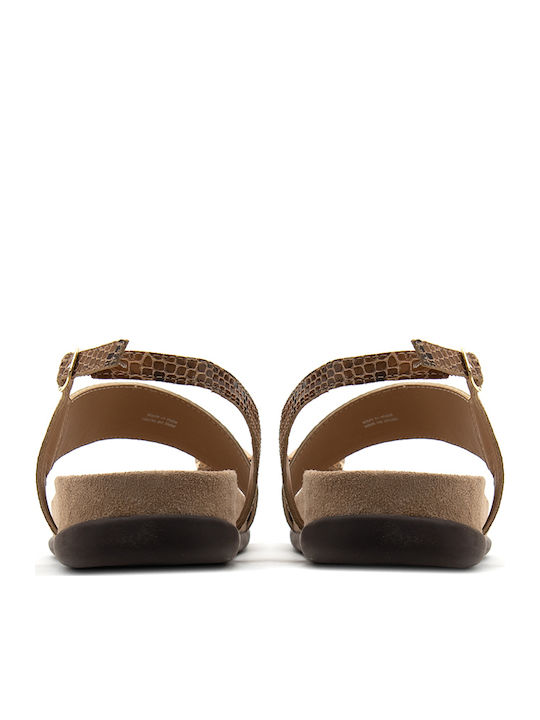 Leather Women's Anatomic Brown Sandals