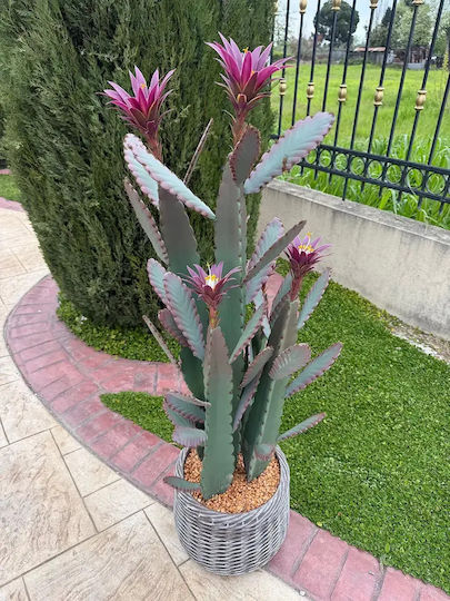 Artificial Peacock Cactus Epiphyllum 140cm Modern Eva Pot