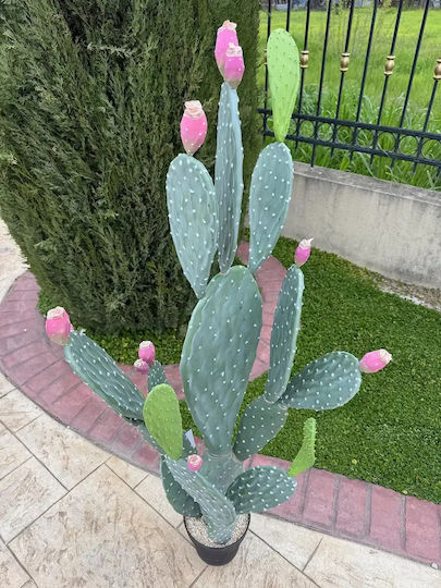 Cactus Artificial 140cm Ghiveci Modern Eva