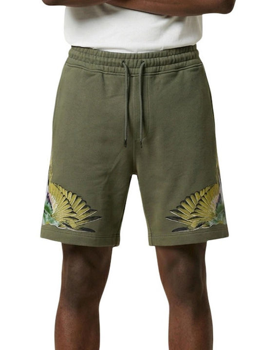 Herren Shorts Grüne