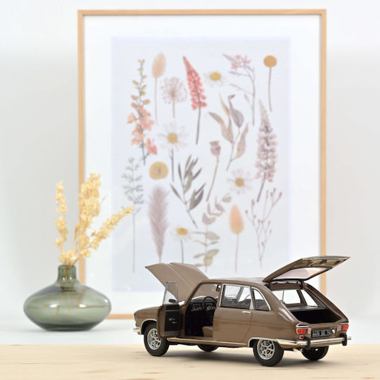 Renault 16 T X 1974 Beiges Metall Modell Auto Maßstab 1:18