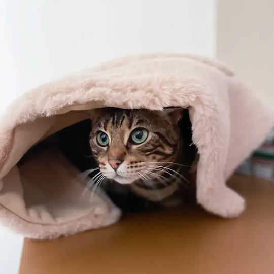Katzenbett Hoopo Flip Beiges