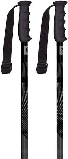 Majesty Adventure Gt Fixed Ski Poles