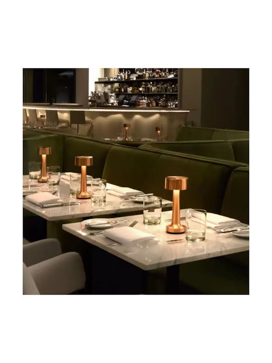Decorative LED Bar Light 9x21cm