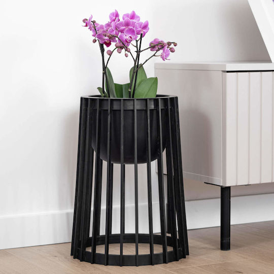 Standing Flower Stand Loft Double-sided Black 39.5 Cm + 2x Insert
