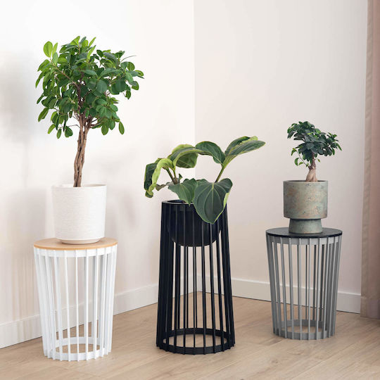 Standing Flower Stand Loft Double-sided Black 39.5 Cm + 2x Insert