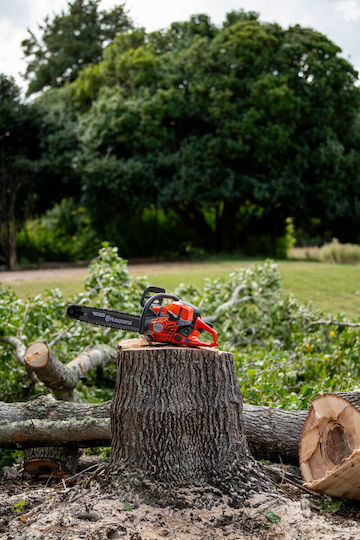 Husqvarna 564XP Gasoline Chainsaw 60cc 5.8kg with 50.8cm Blade