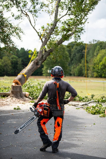 Husqvarna 564XP Gasoline Chainsaw 60cc 5.8kg with 50.8cm Blade