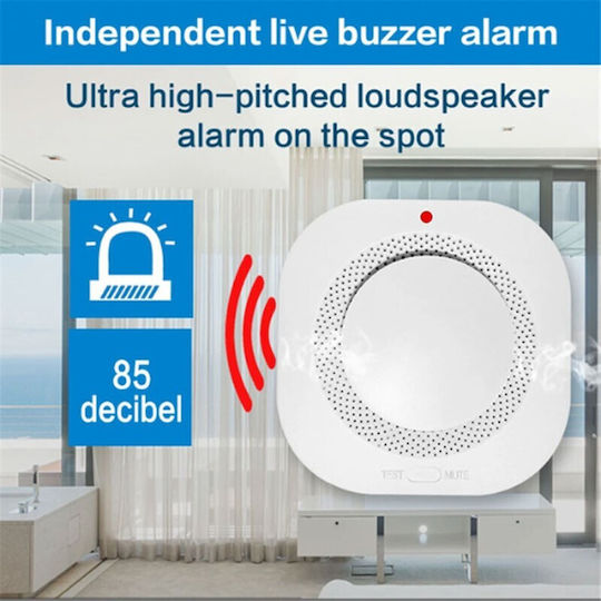 Autonomous Smoke Detector