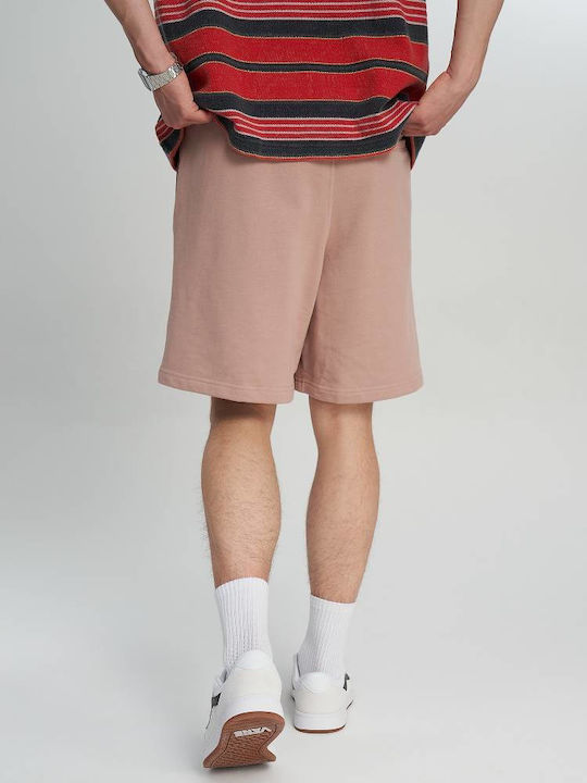Vans Vans
