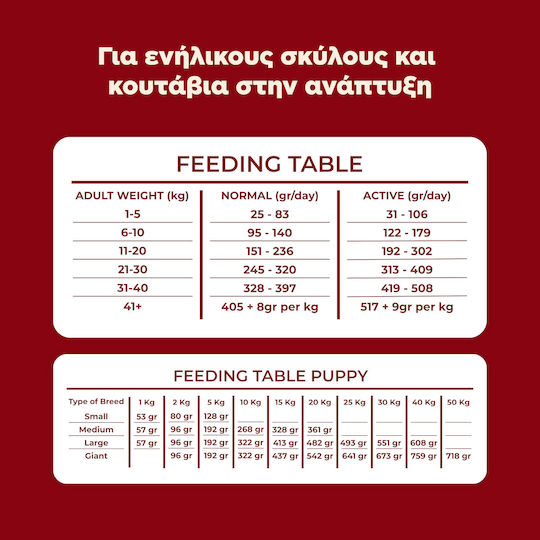 Ethelia Healthy Dogs for Adult & Puppies 12kg Ξηρά Τροφή για Ενήλικους Σκύλους με Κοτόπουλο, Χοιρινό και Ψάρια