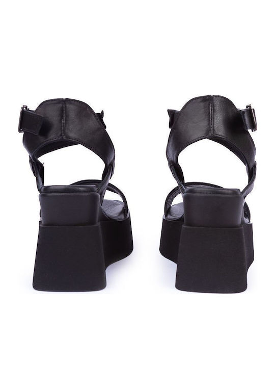 Platforme Dama Negre