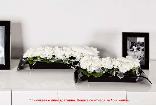 Don-Plast Пластмасова Саксия За Цветя 24x8см