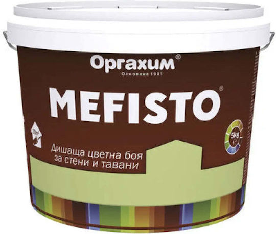 Interior Paint Color Avocado 5 Kg Mefisto