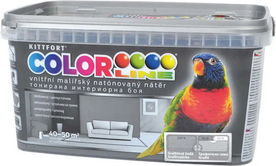Color Latexfarbe Graphitgrau 4 Kg
